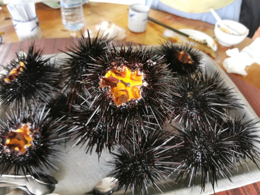 海膽養殖場海鮮菜館 photo 5