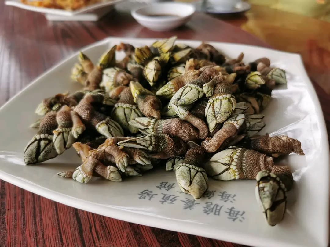 海膽養殖場海鮮菜館 photo 1