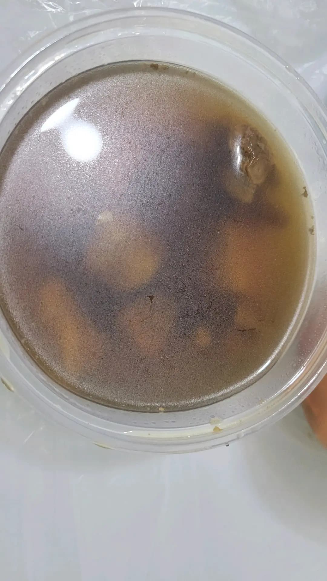 得閒飲茶 photo 3