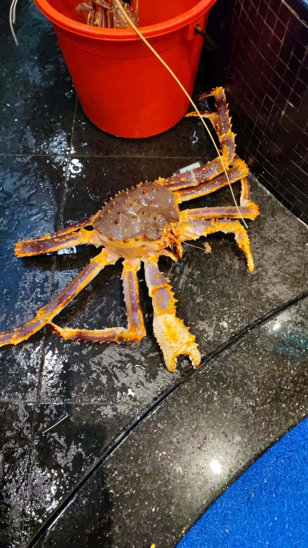 海港酒家 photo 3