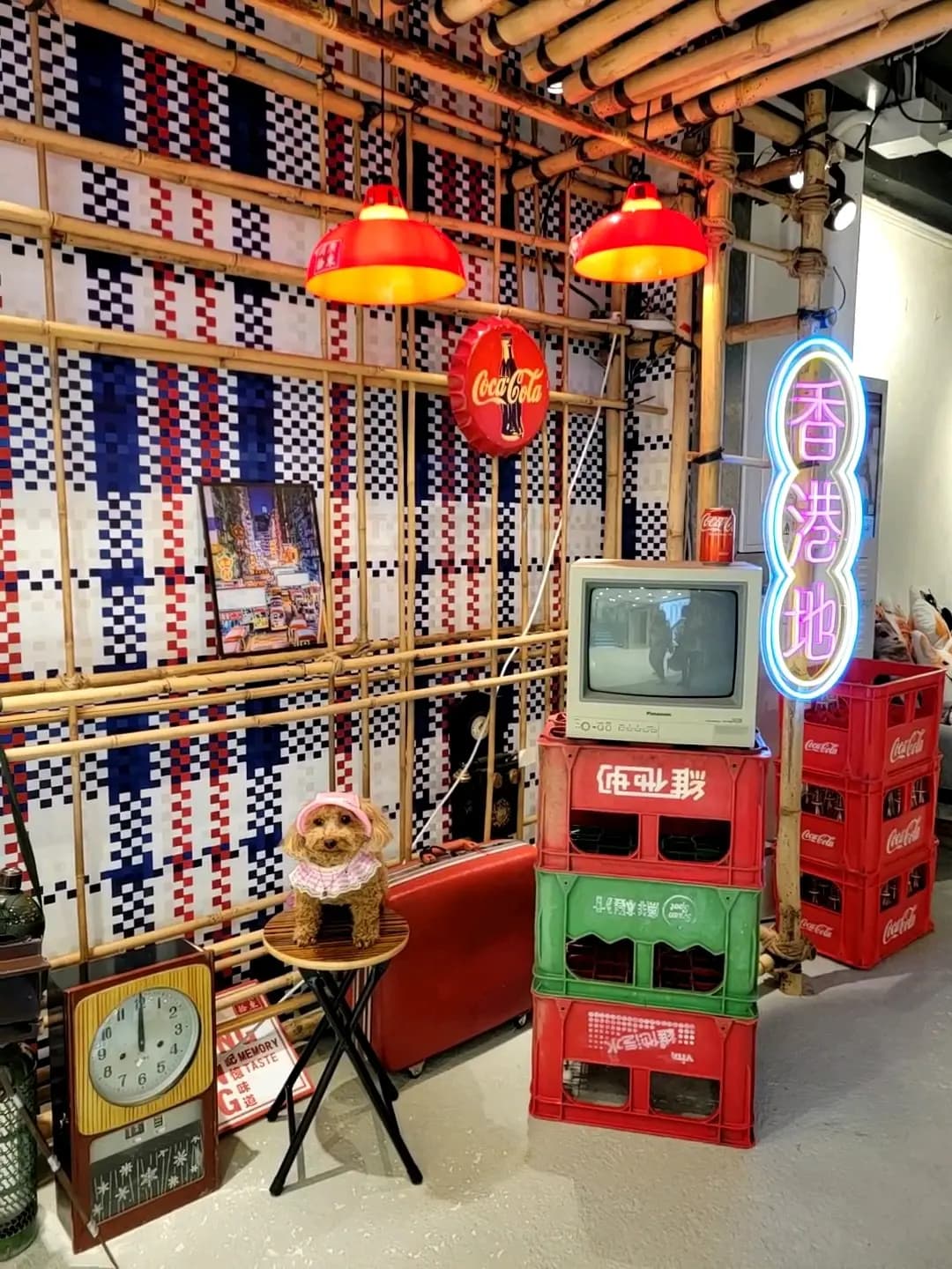 長洲角酪 photo 5