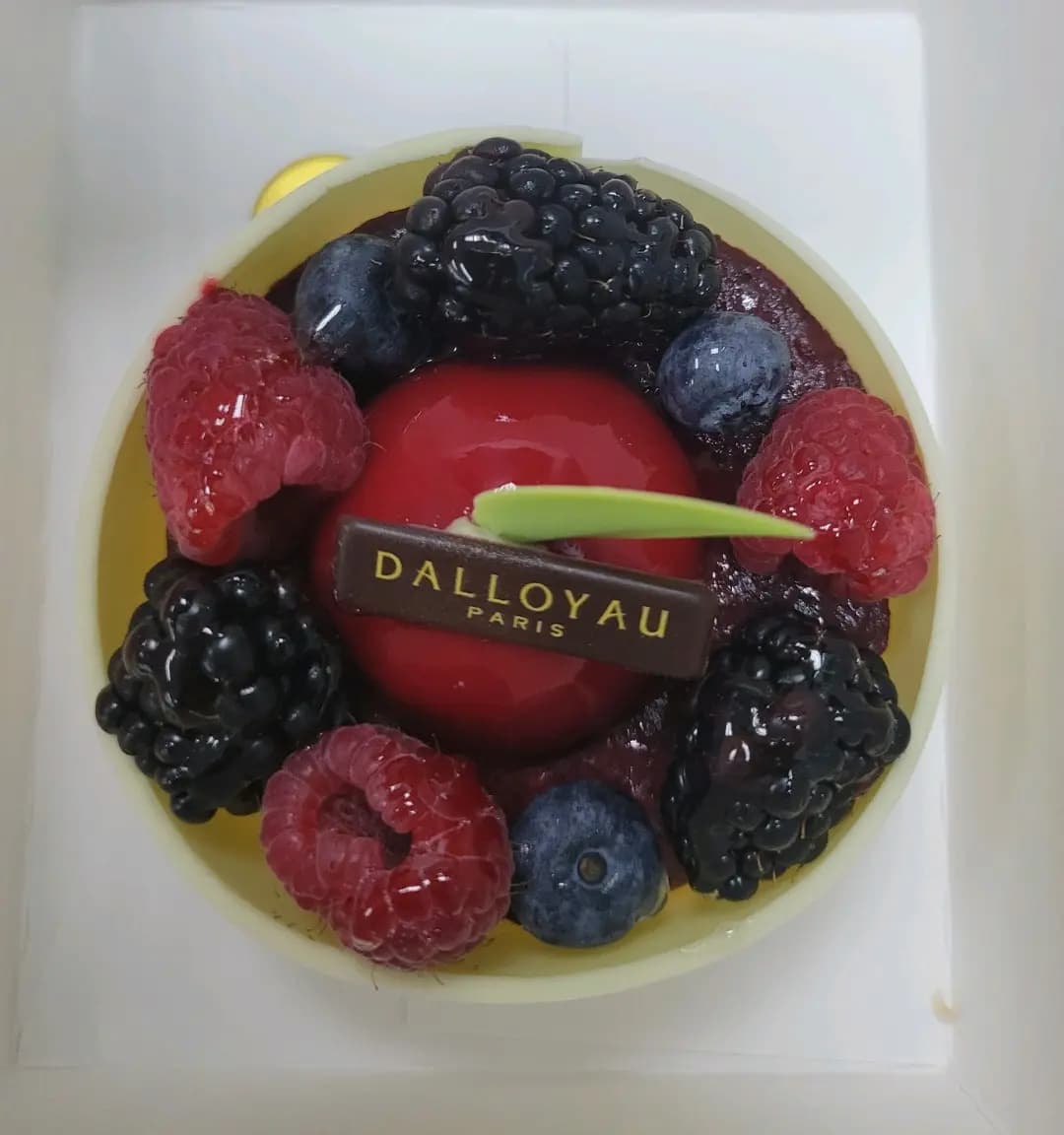 DALLOYAU photo 4