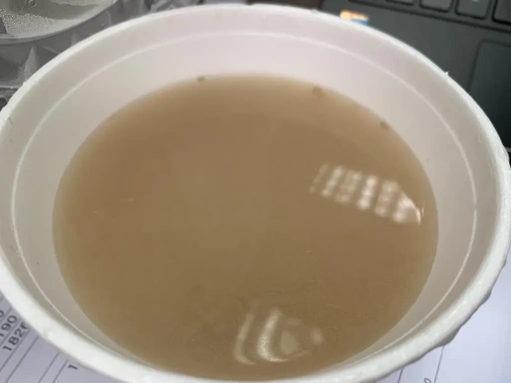 長旺燒鵝燒味飯店 photo 4