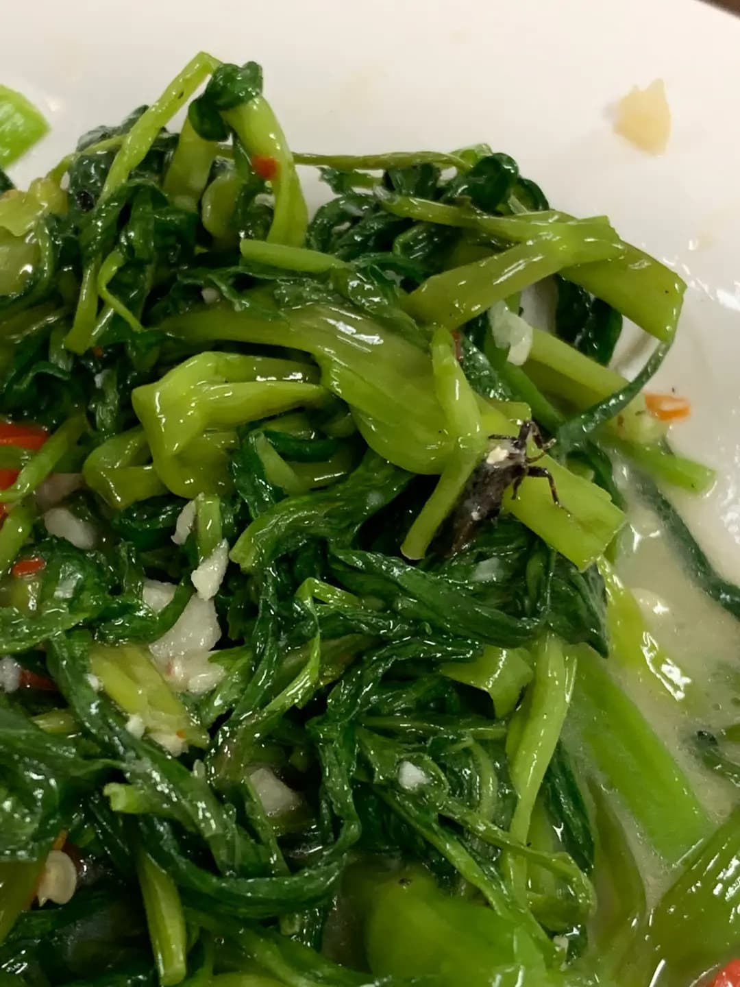 理大茶室 photo 3