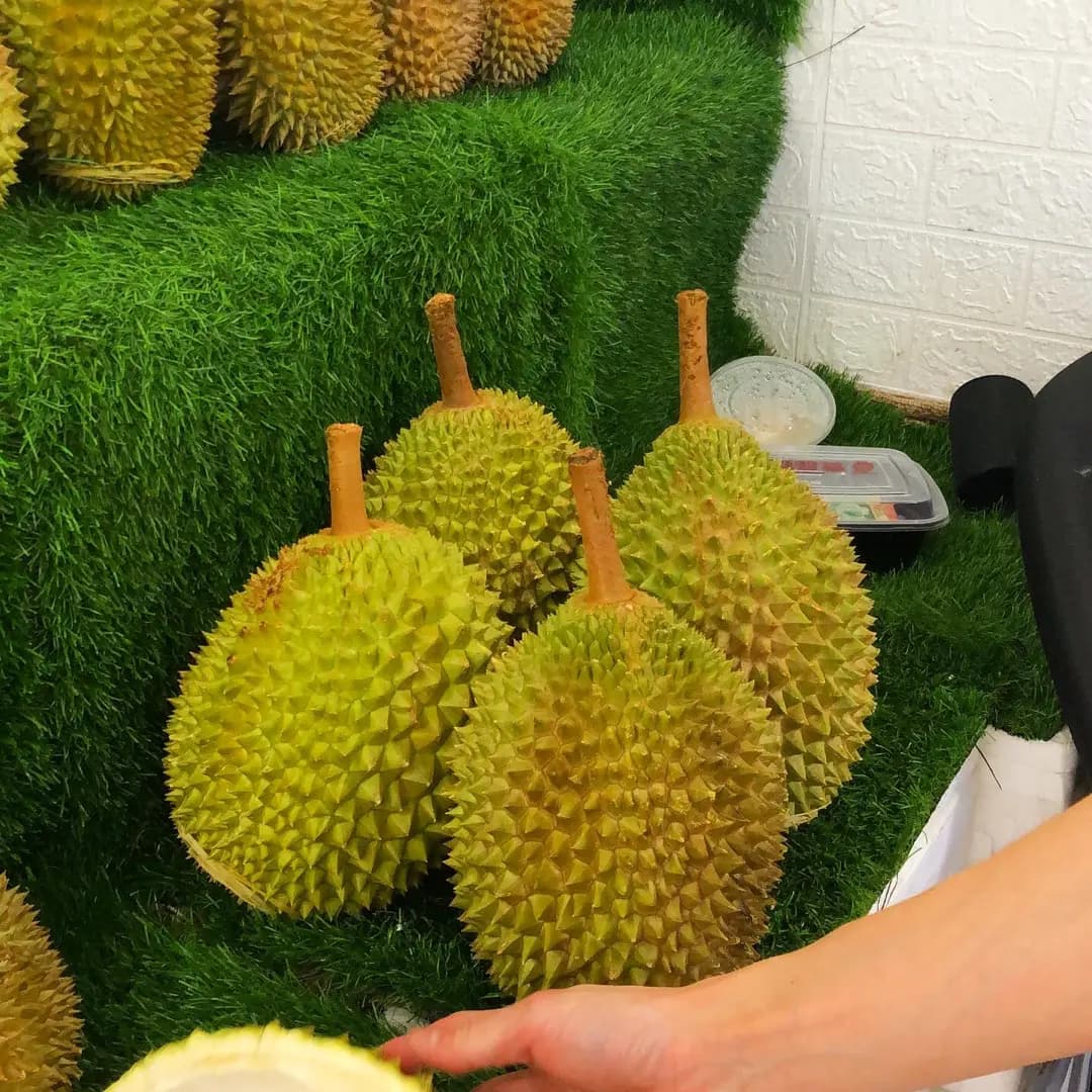 壹品貓山王 photo 1