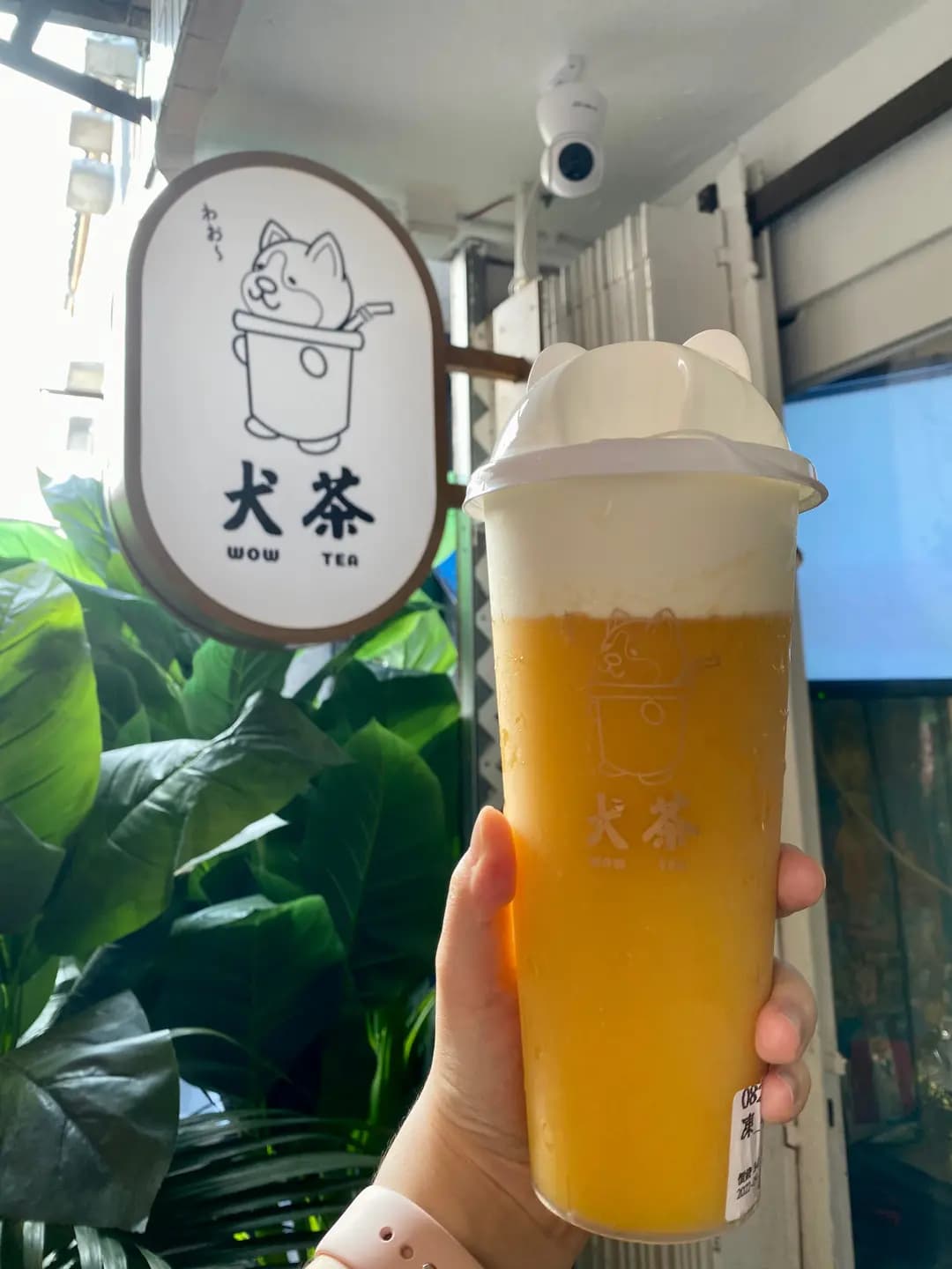 犬茶 photo 3