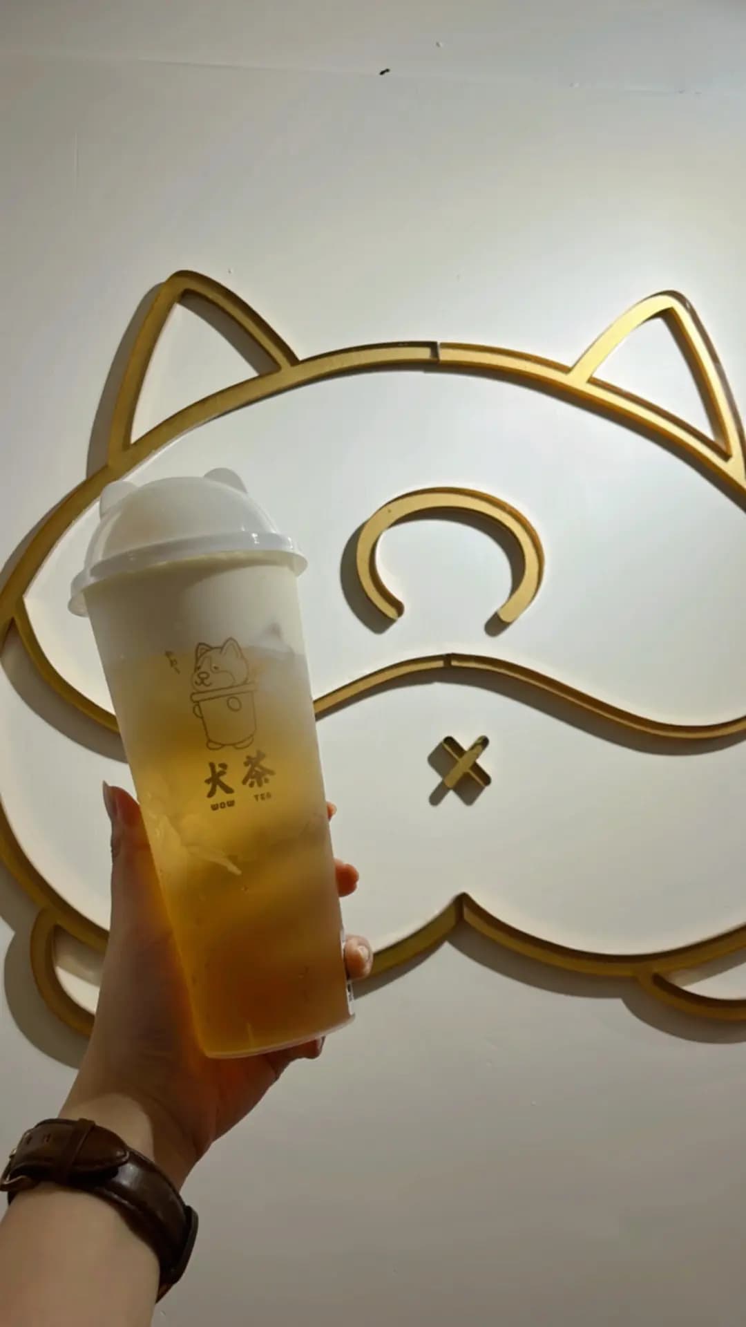 犬茶 photo 8