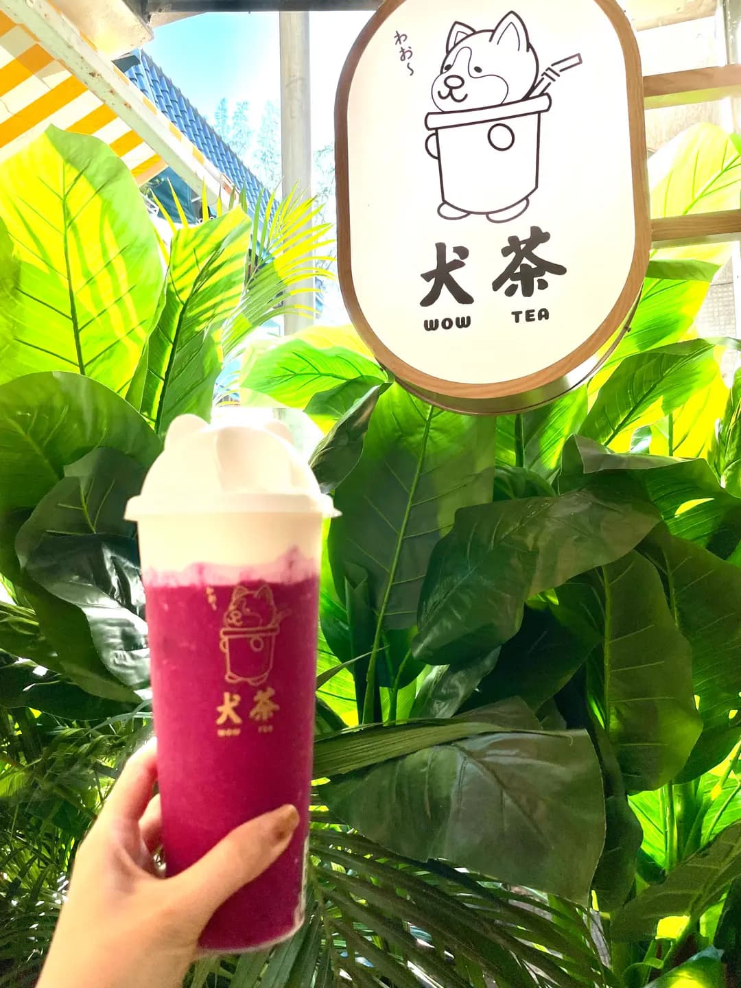 犬茶 photo 2