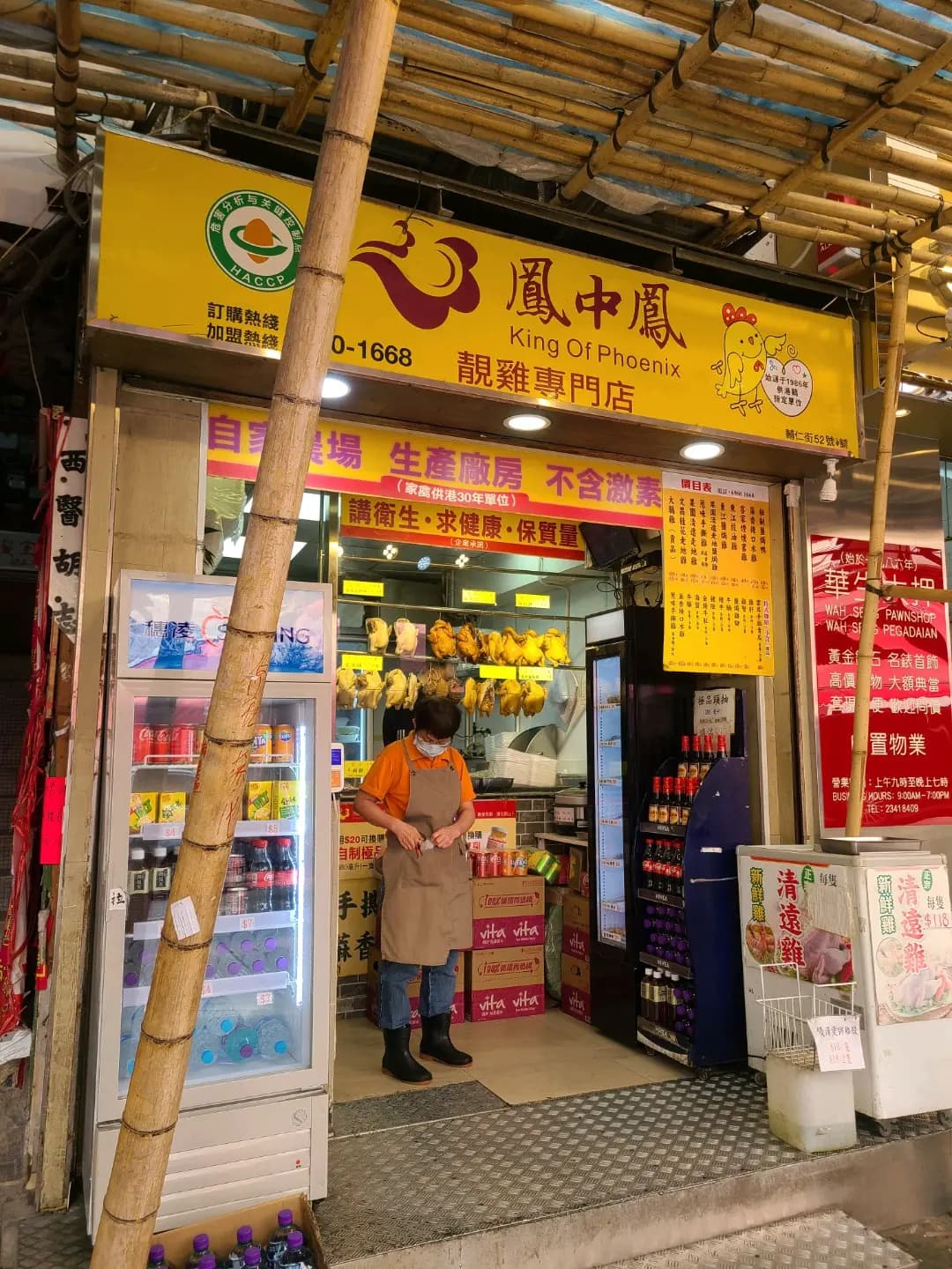 鳯中鳯 photo 6