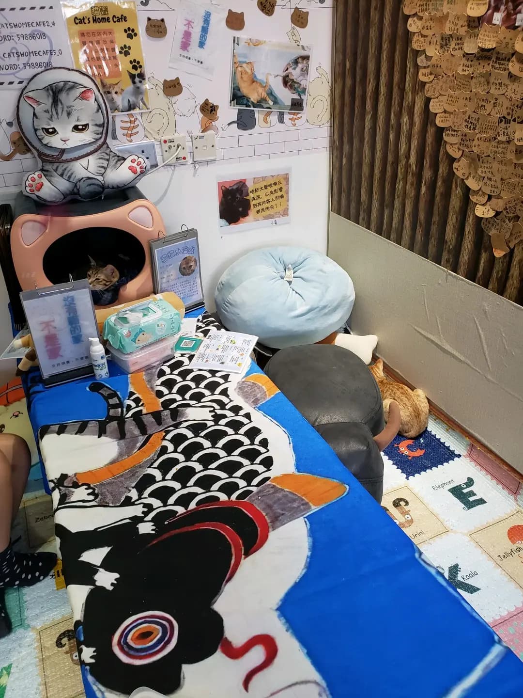 貓竇 photo 2