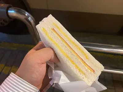 洪瑞珍 (港鐵沙田站) photo 5
