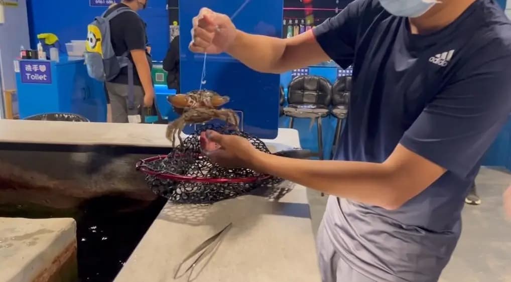 蝦立方休閒娛樂釣蝦場 photo 4