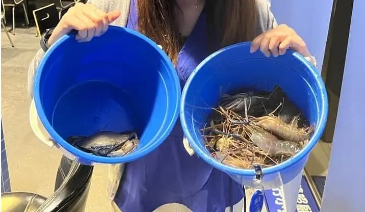 蝦立方休閒娛樂釣蝦場 photo 7