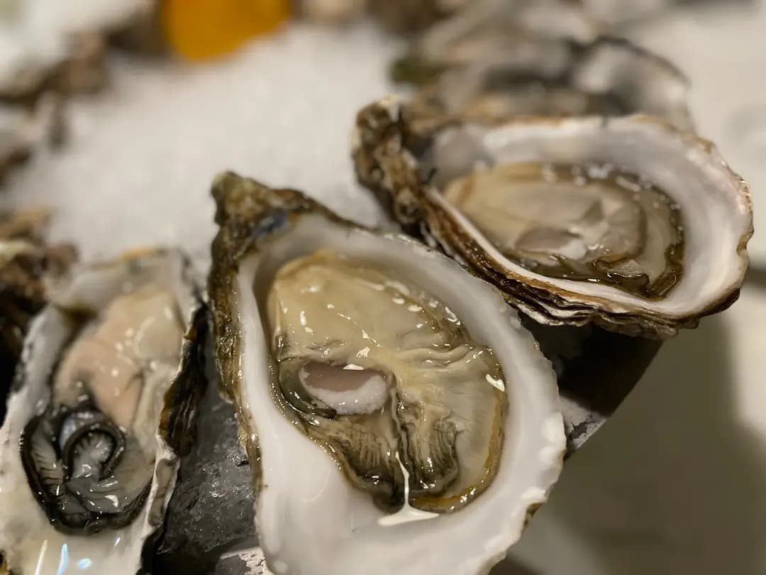 Oystermine Restaurant photo 8