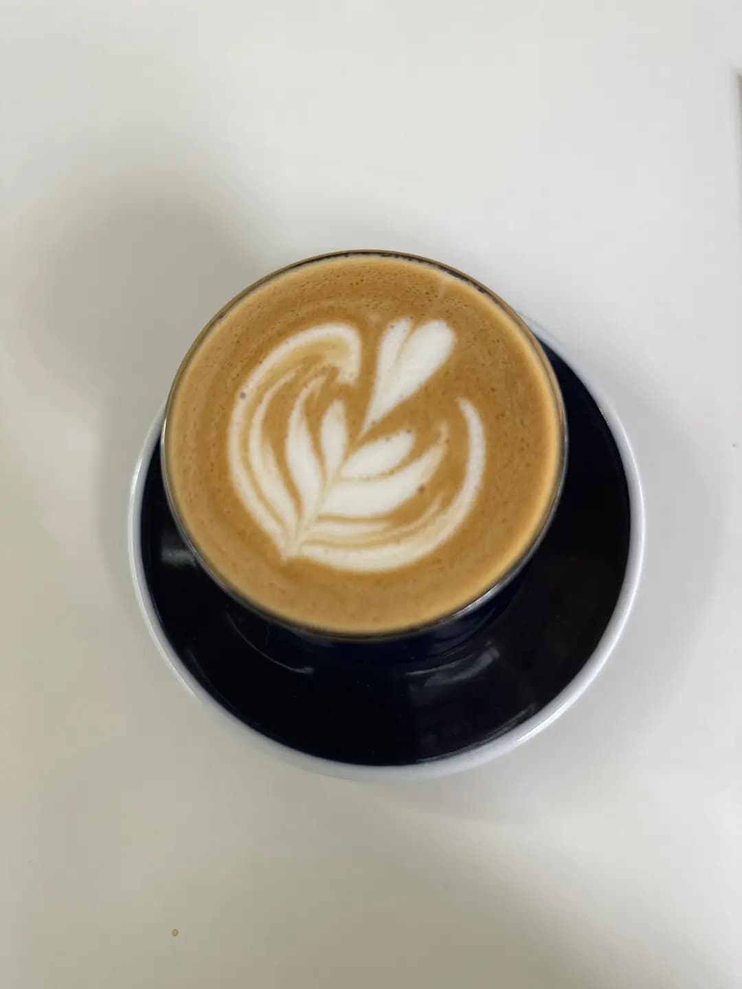 Coffee 101 photo 2