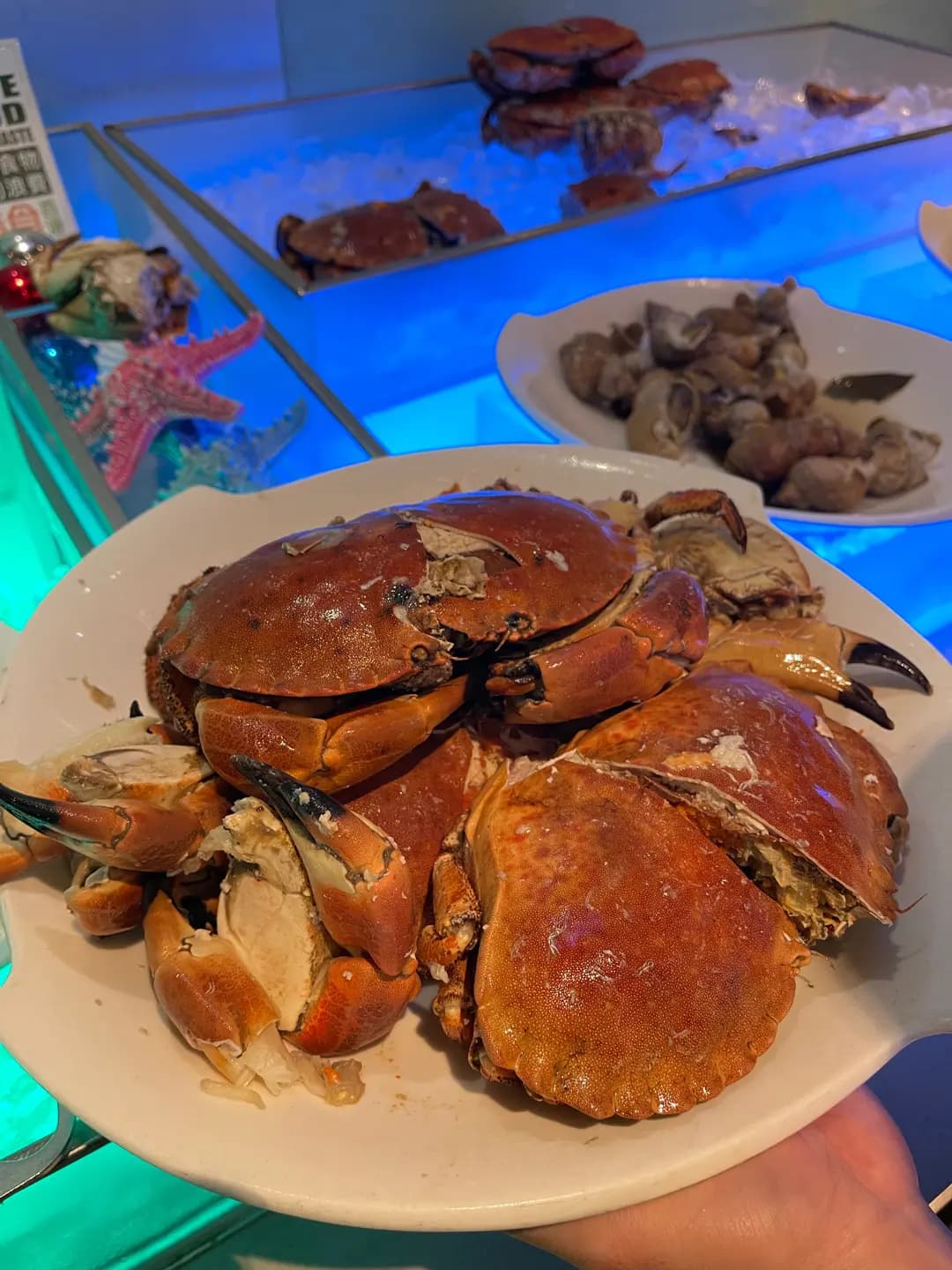 園林閣咖啡室 photo 4