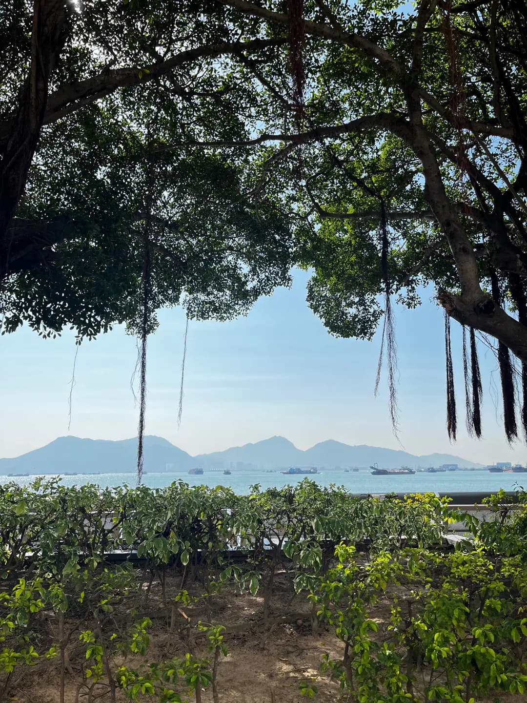 一越越南餐廳 photo 4