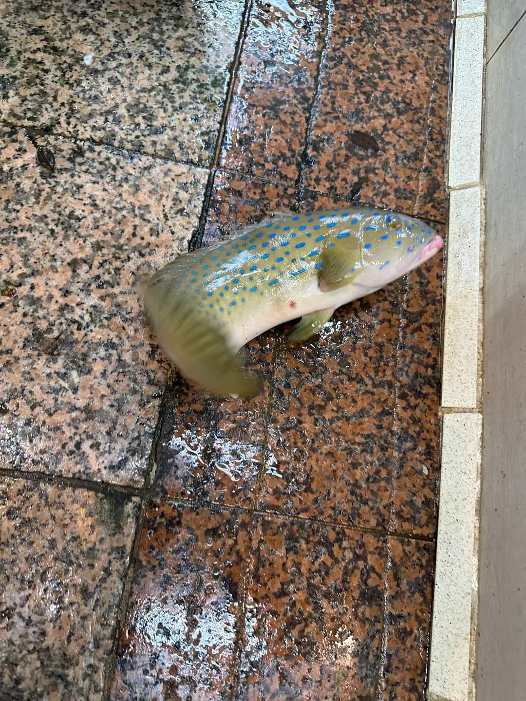 美和漁港海鮮 photo 8