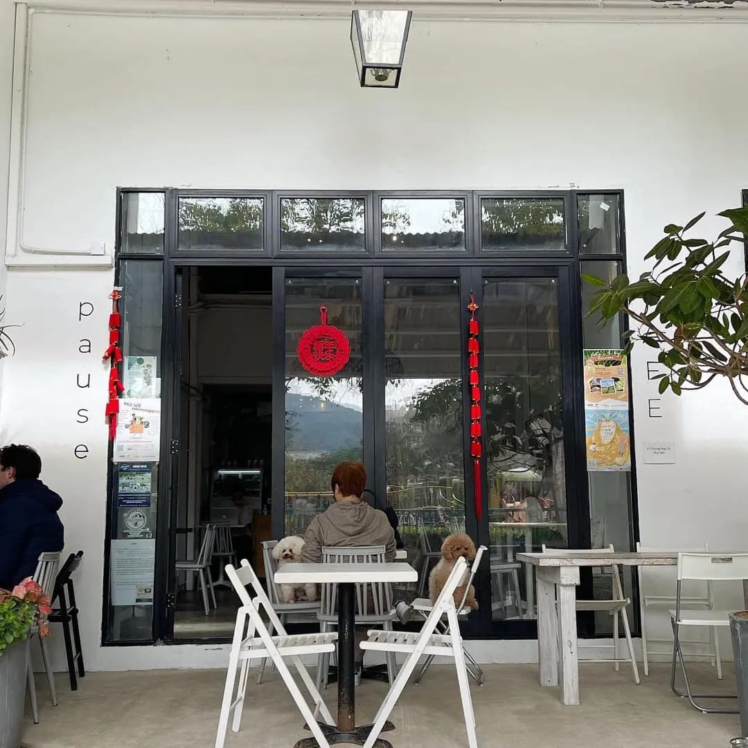 Pause Cafe photo 6
