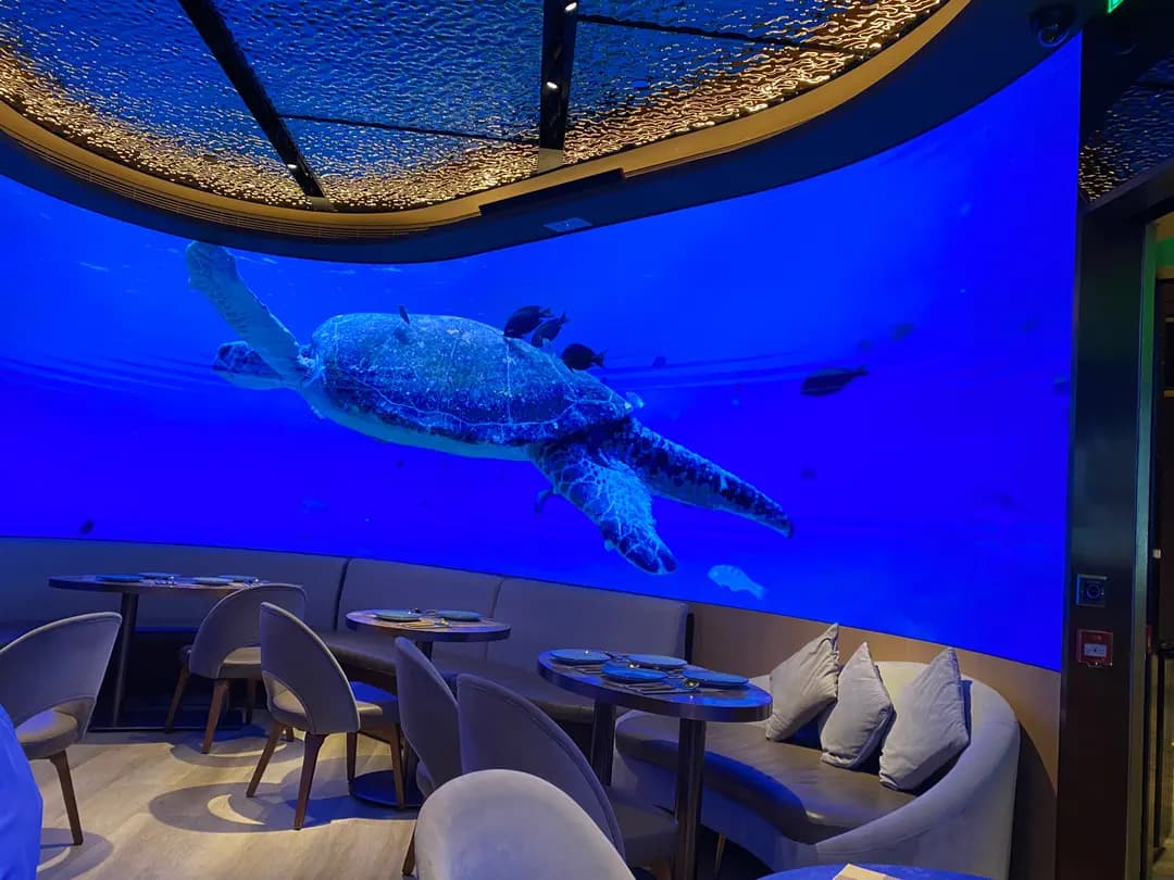 G Room Bar & Lounge photo 8