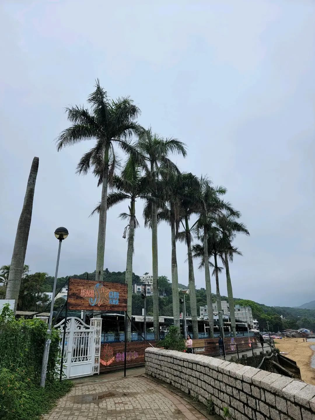 海灣吧 photo 3