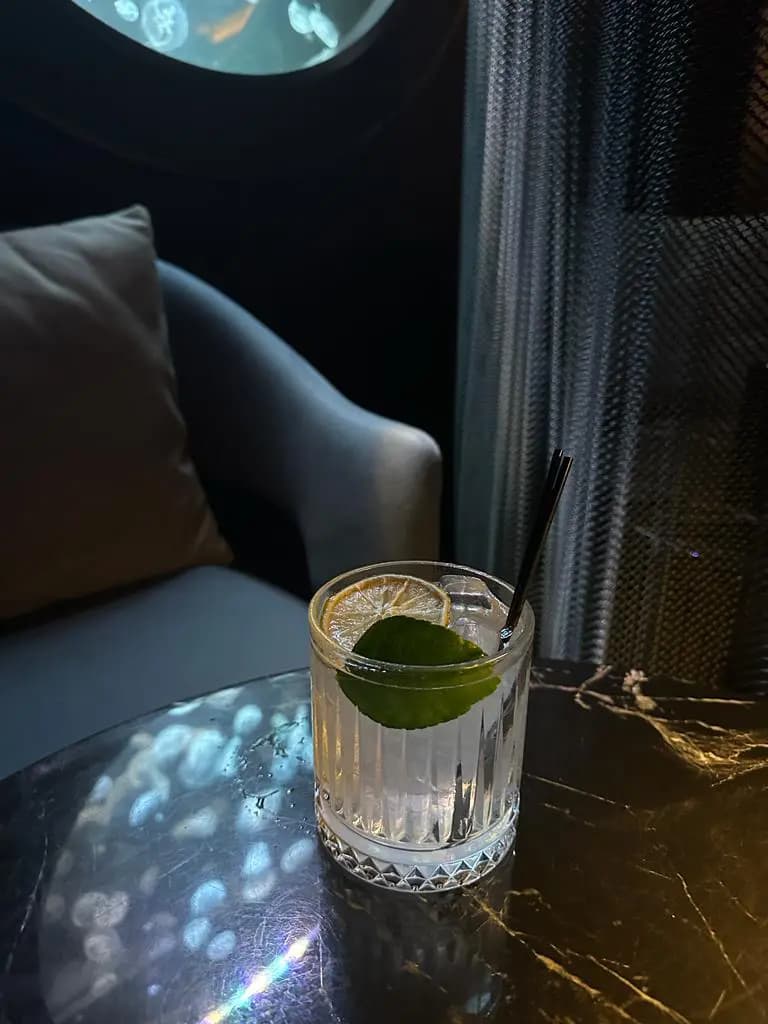 Aurita Lounge photo 5