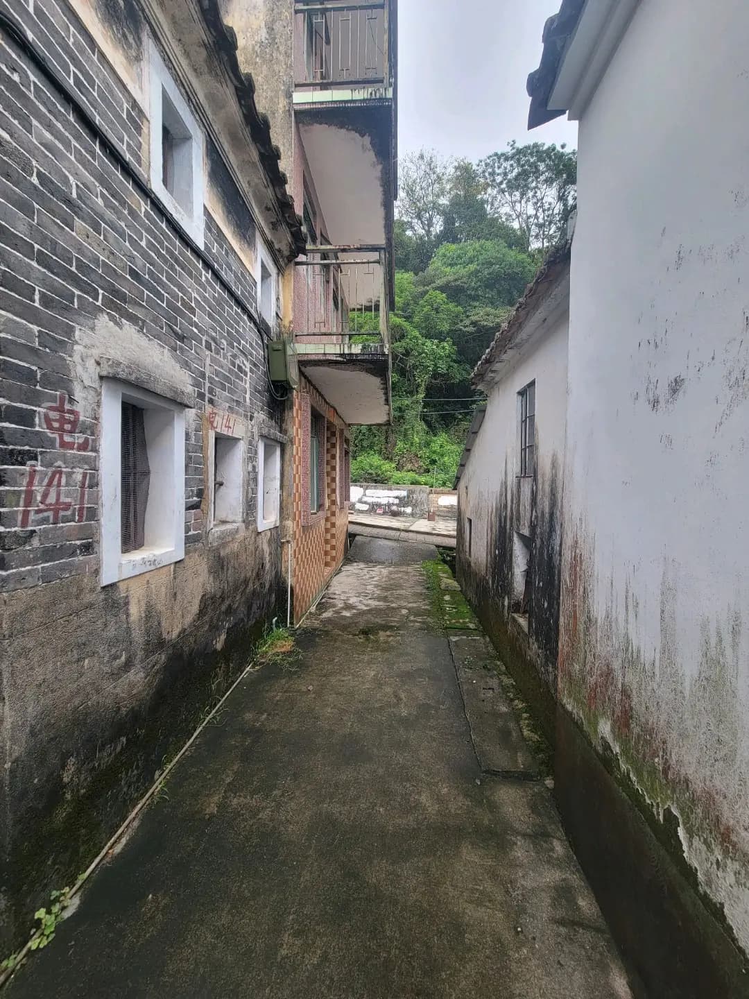荔林咖啡 photo 1