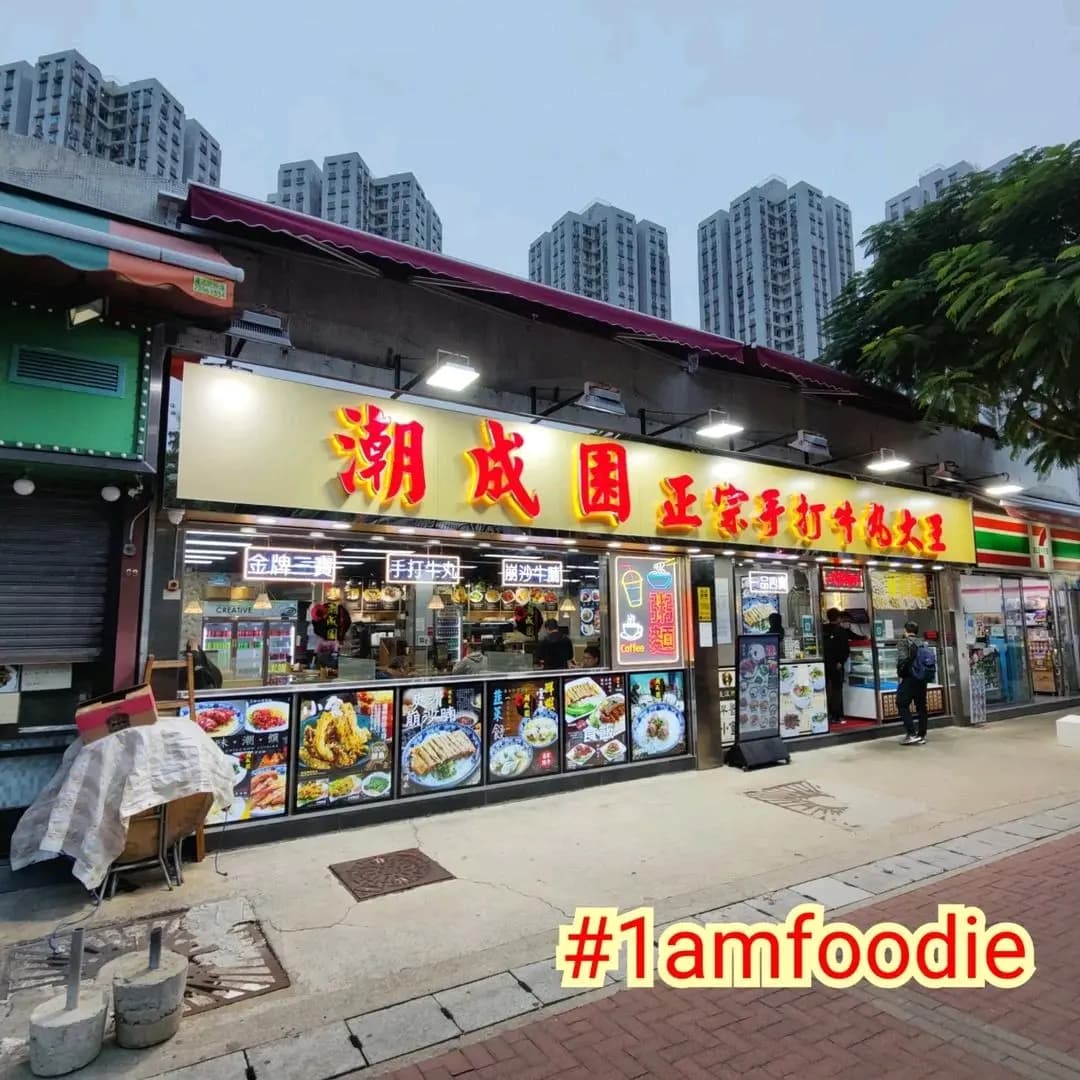 潮成園正宗手打牛丸大王 photo 3
