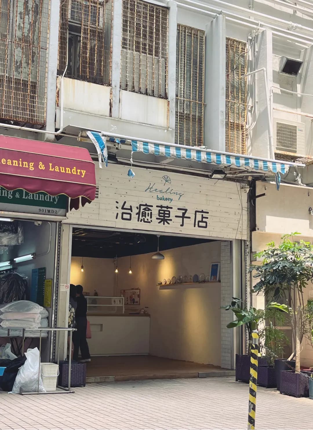 治癒菓子 photo 3