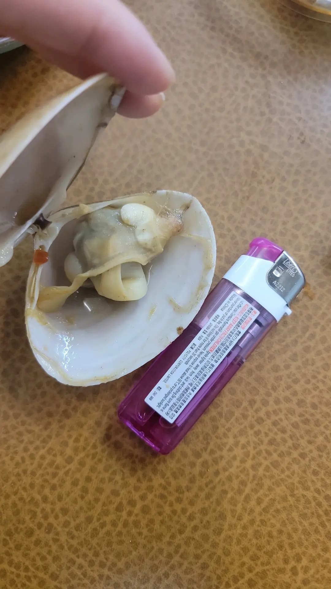 三味真鍋 photo 1