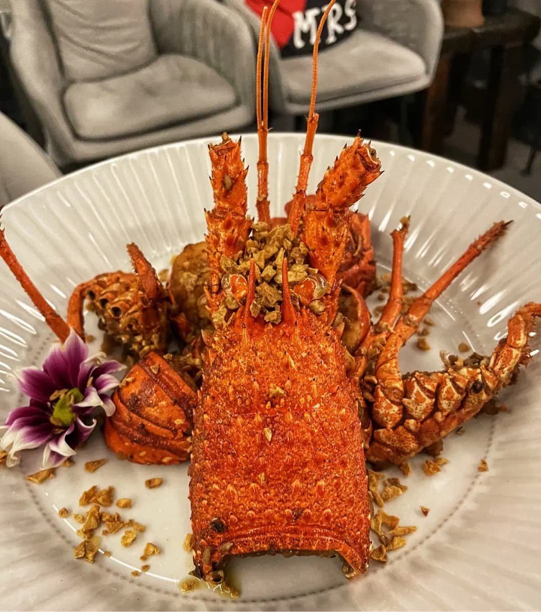 Lobster Une photo 5