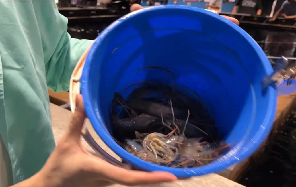 蝦立方休閒娛樂釣蝦場 photo 1