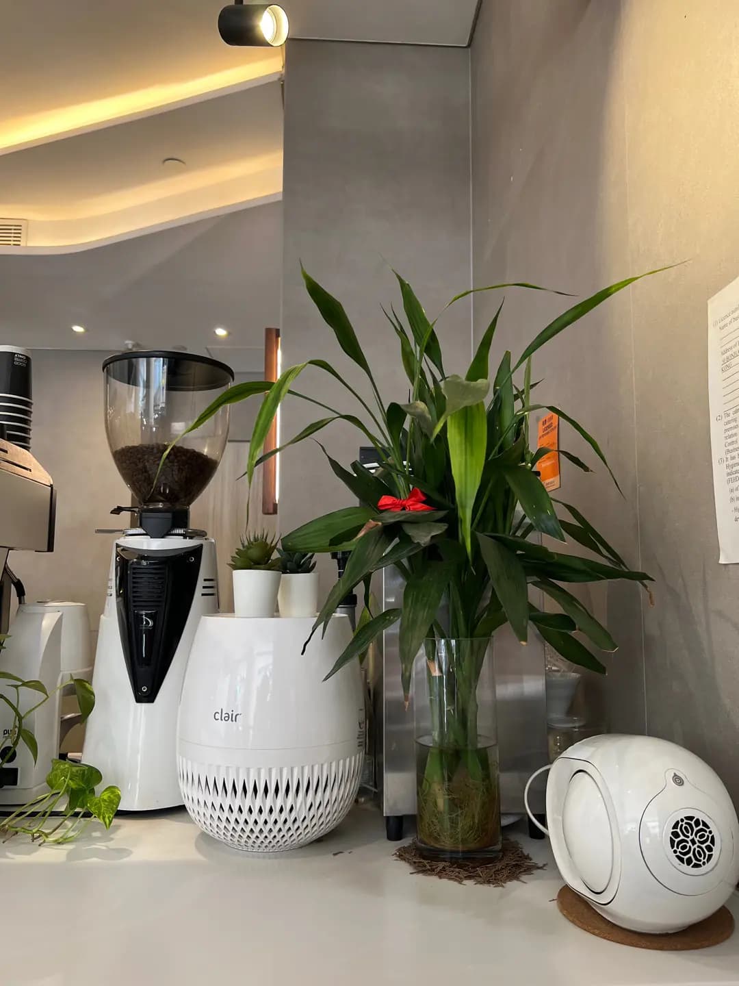 29 Coffee photo 3