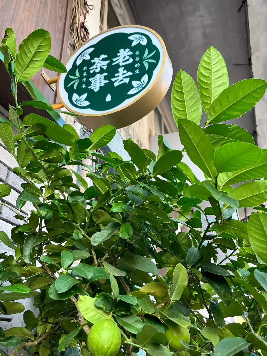 老去茶事 photo 3