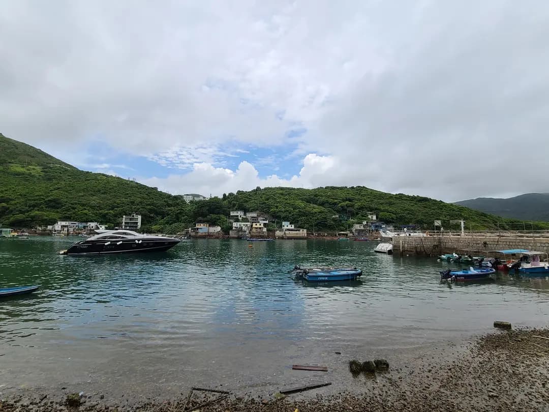 海鮮島墨魚刺身專門店 photo 1