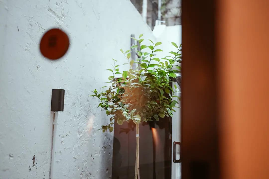 二三之間 photo 2