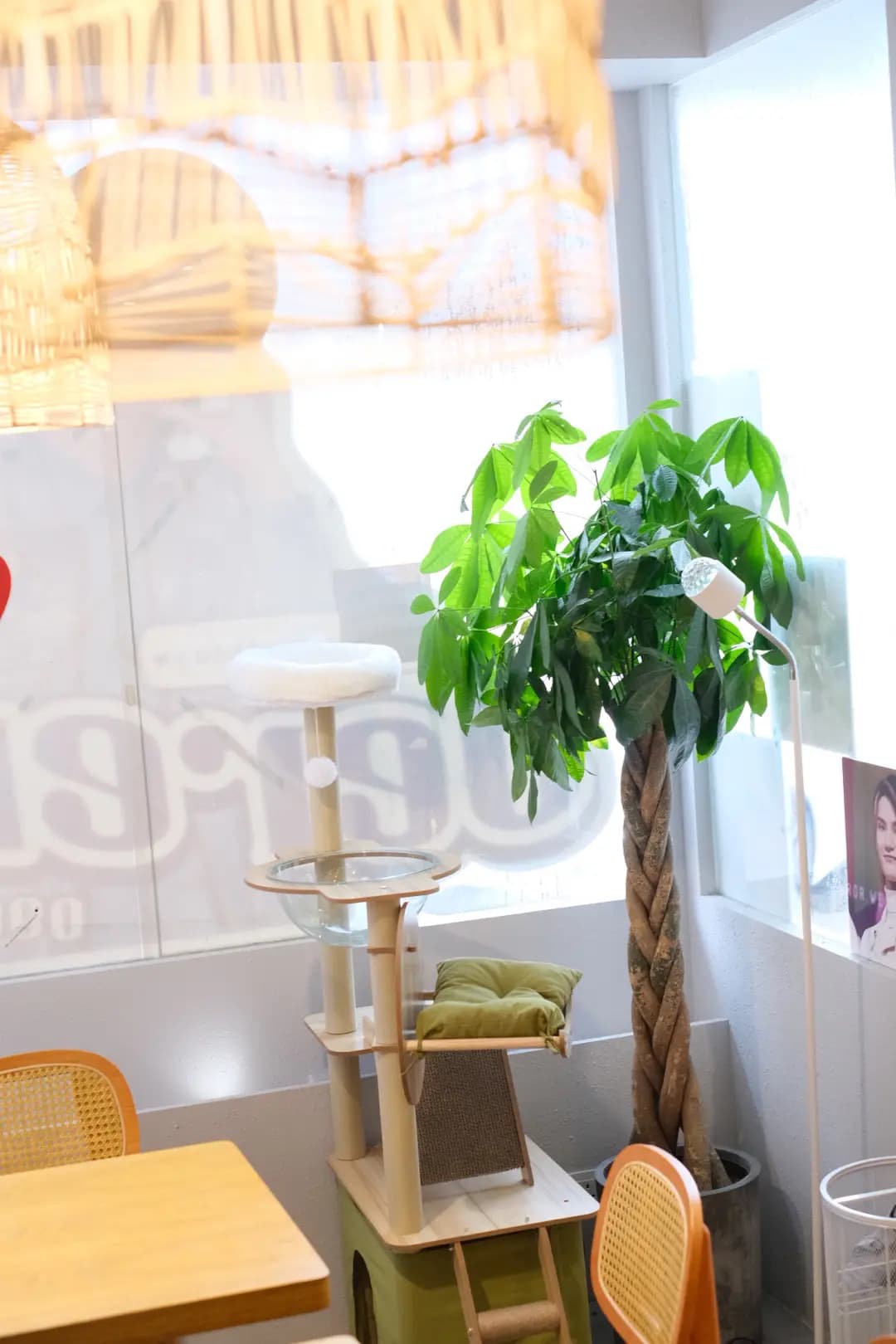 哈欠 photo 5