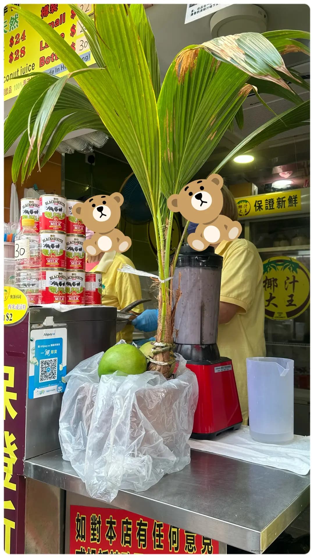 椰汁大王 photo 8