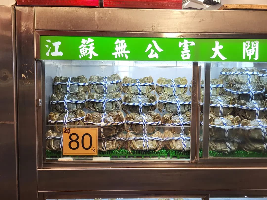 上海新光號 photo 3