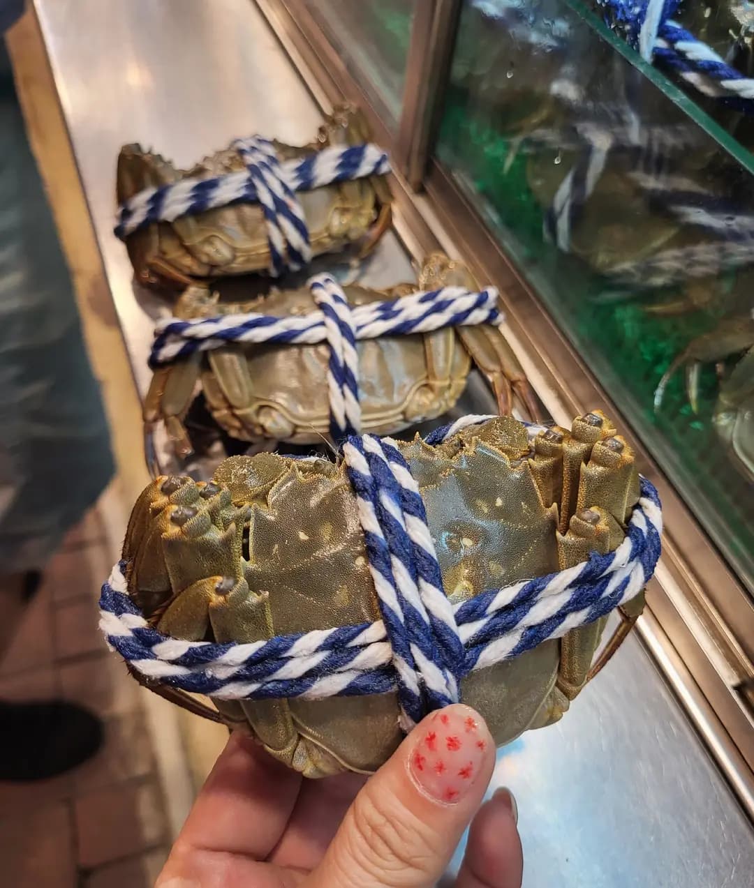 上海新光號 photo 1