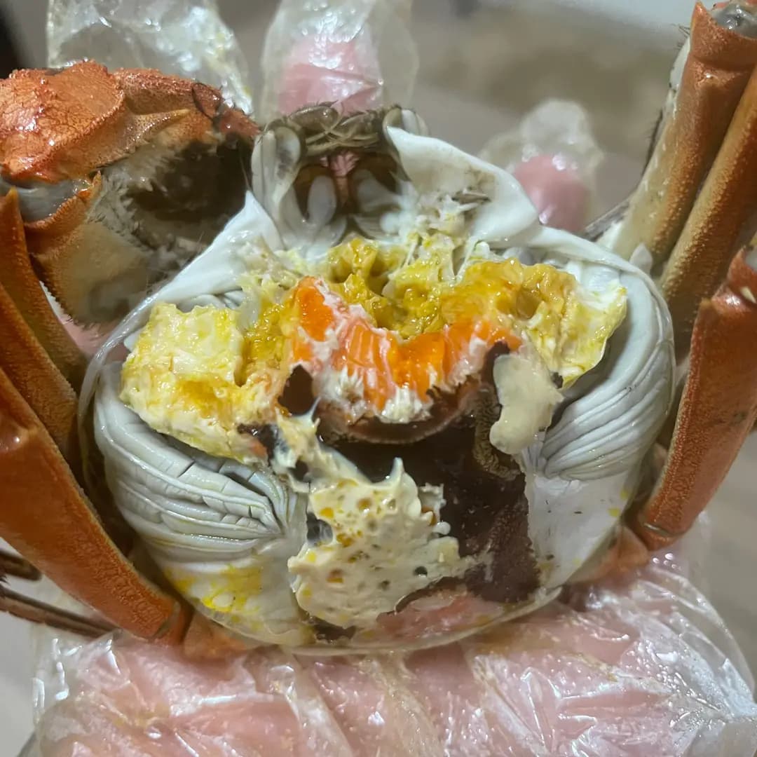 日日餸 photo 4
