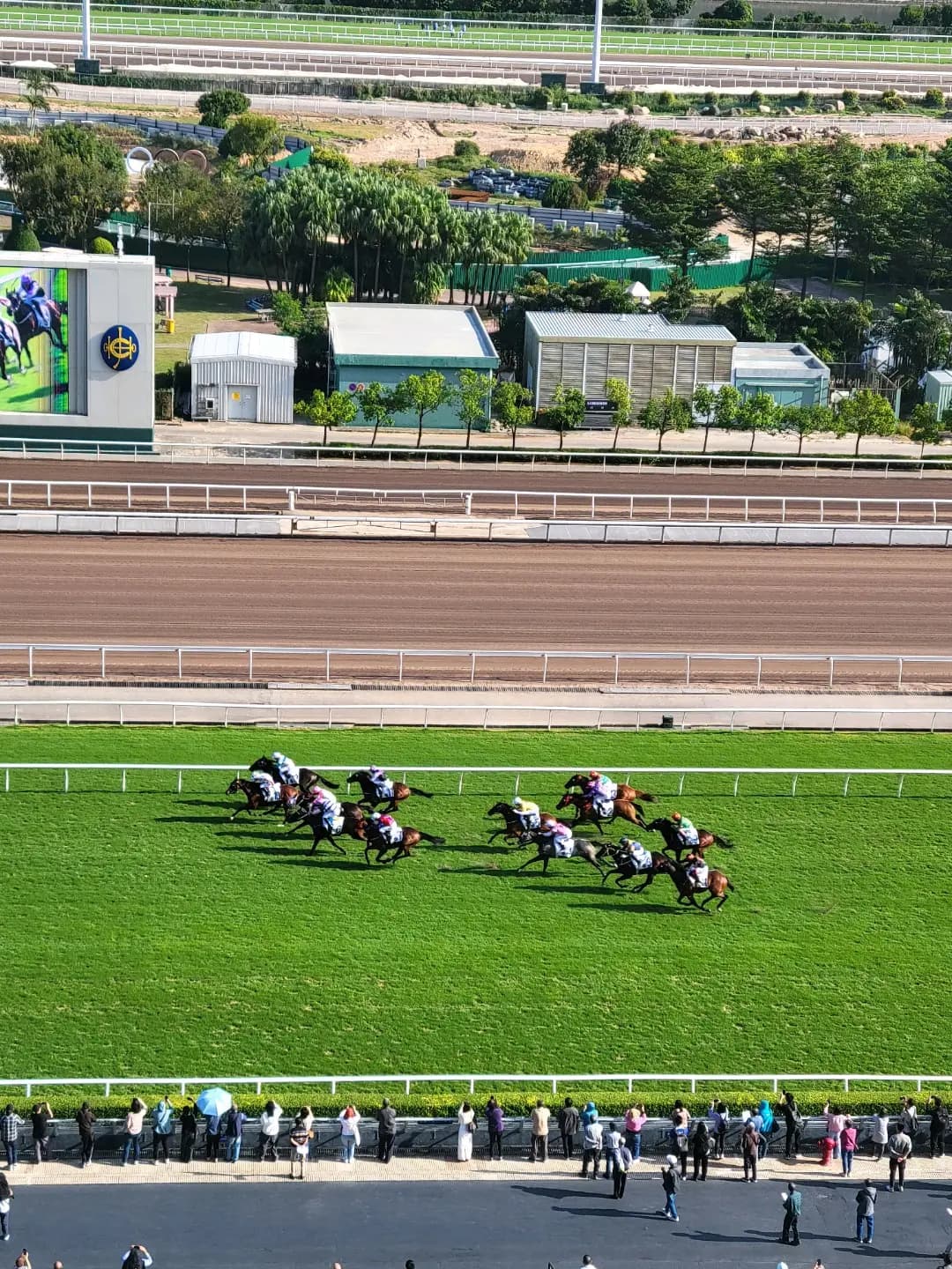 沙田馬場馬會廂房 photo 4