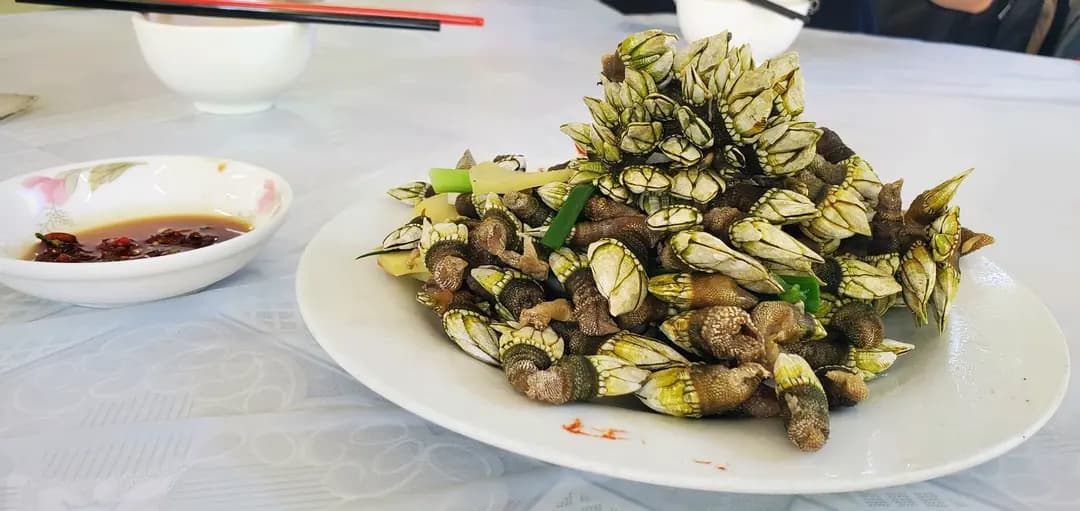 坪州士多 photo 4