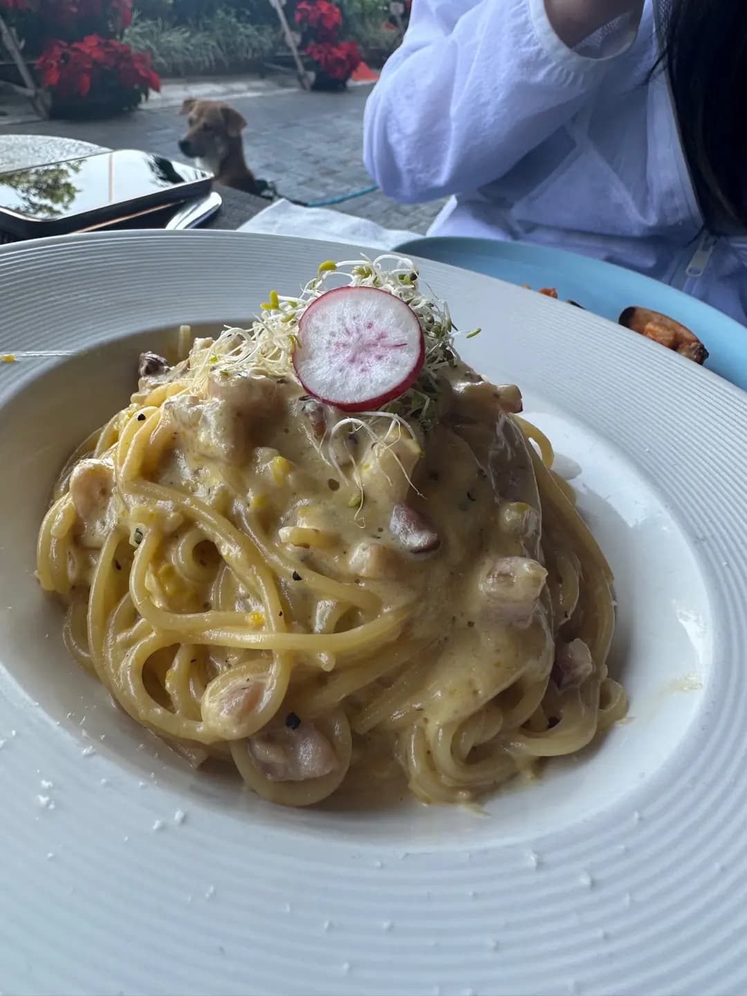 Bistro East photo 7