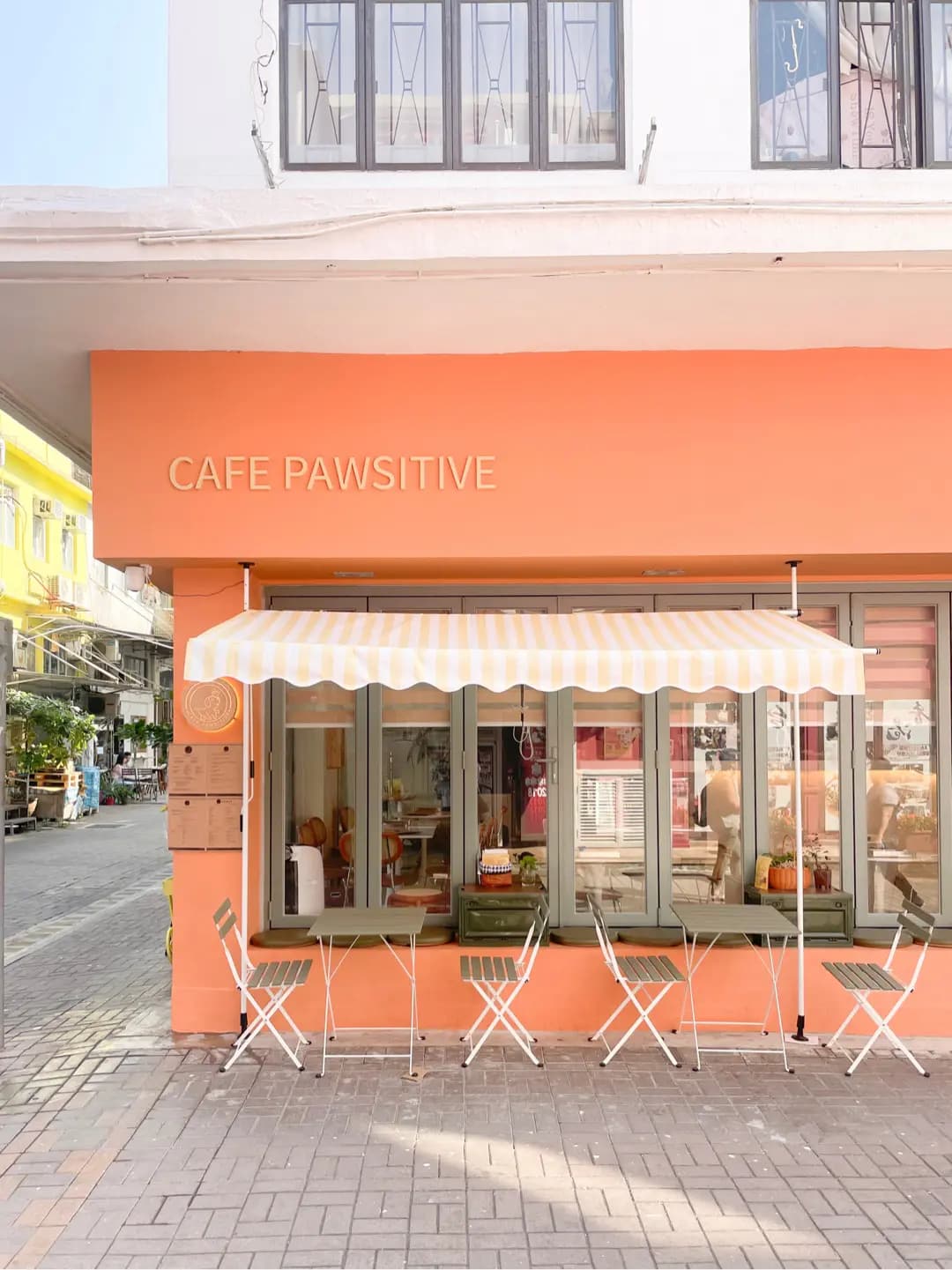 Cafe Pawsitive photo 8