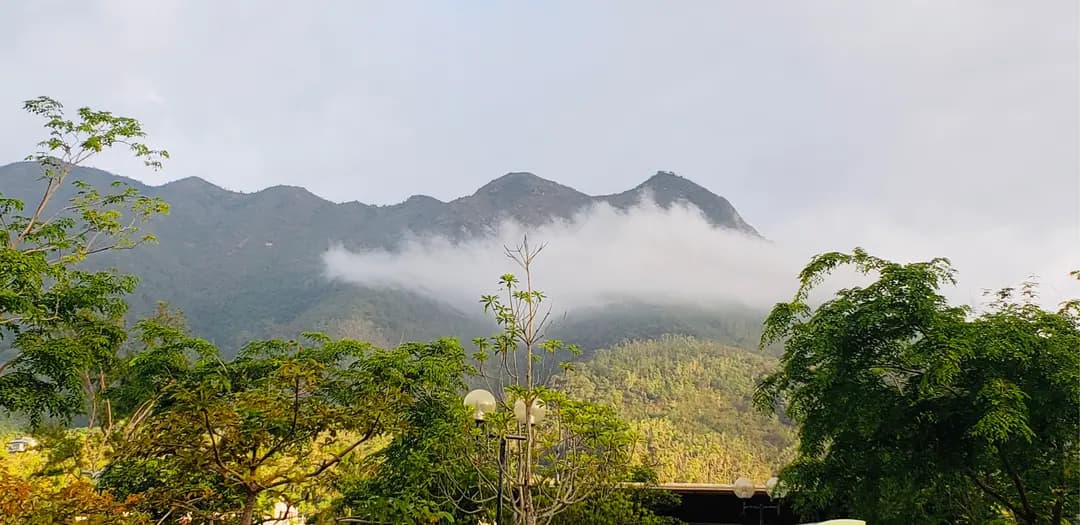 生利租艇 photo 6