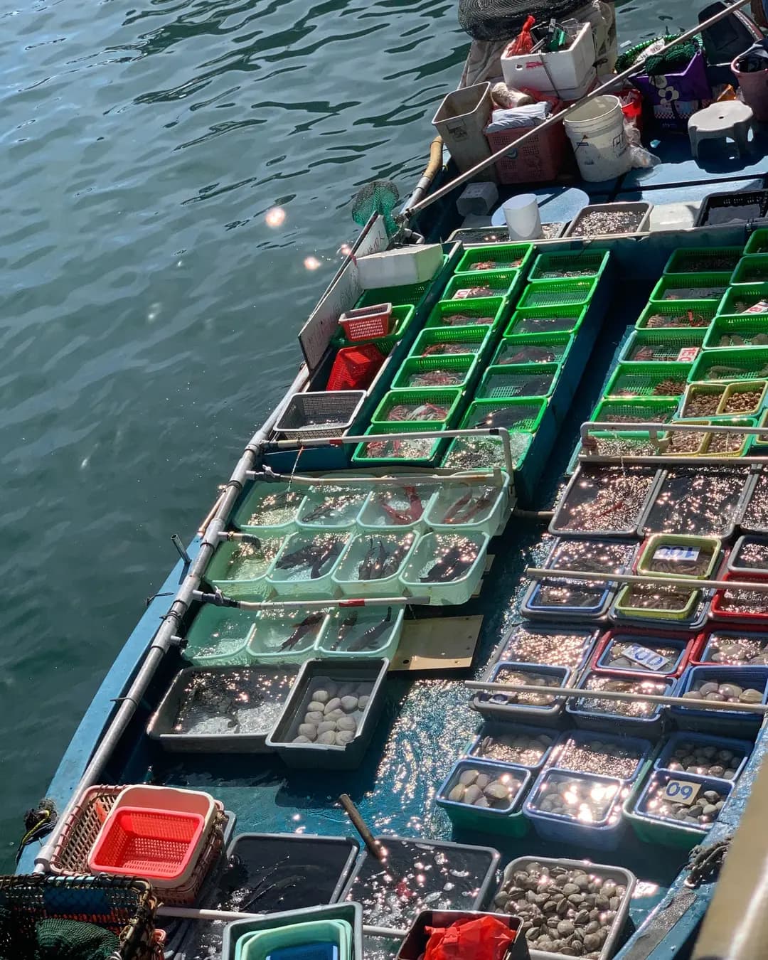 天天好海鮮酒家 photo 4