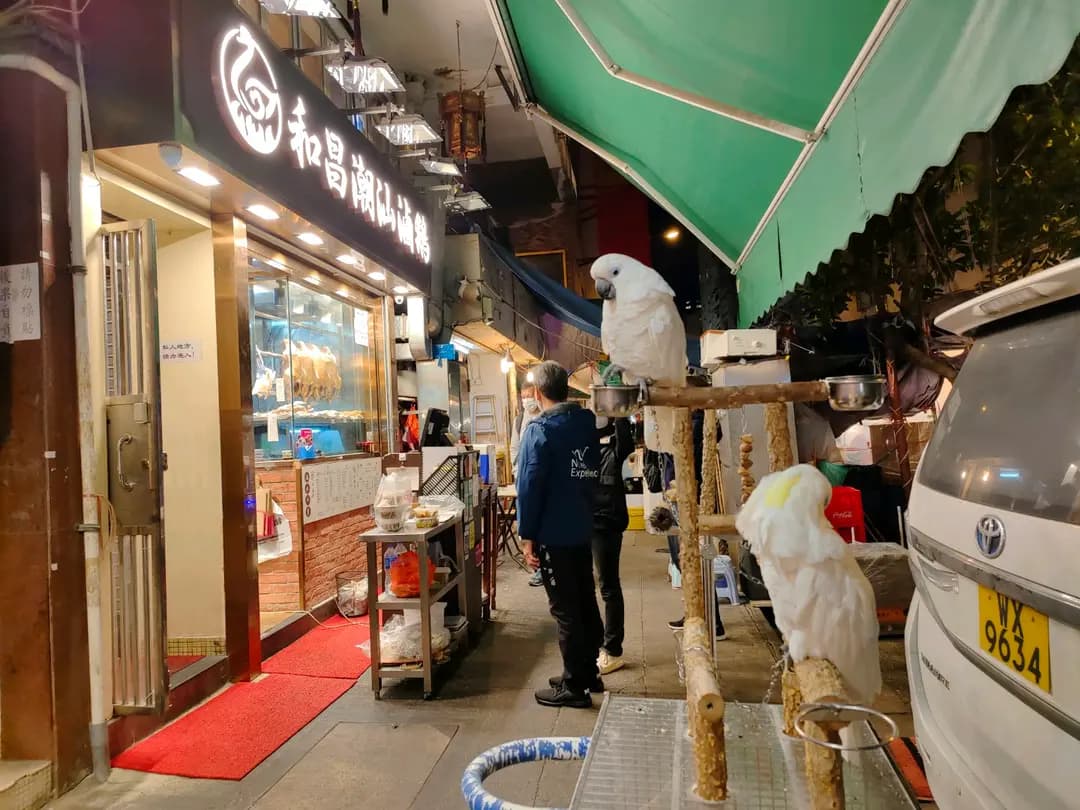 和昌潮汕滷鵝 photo 4
