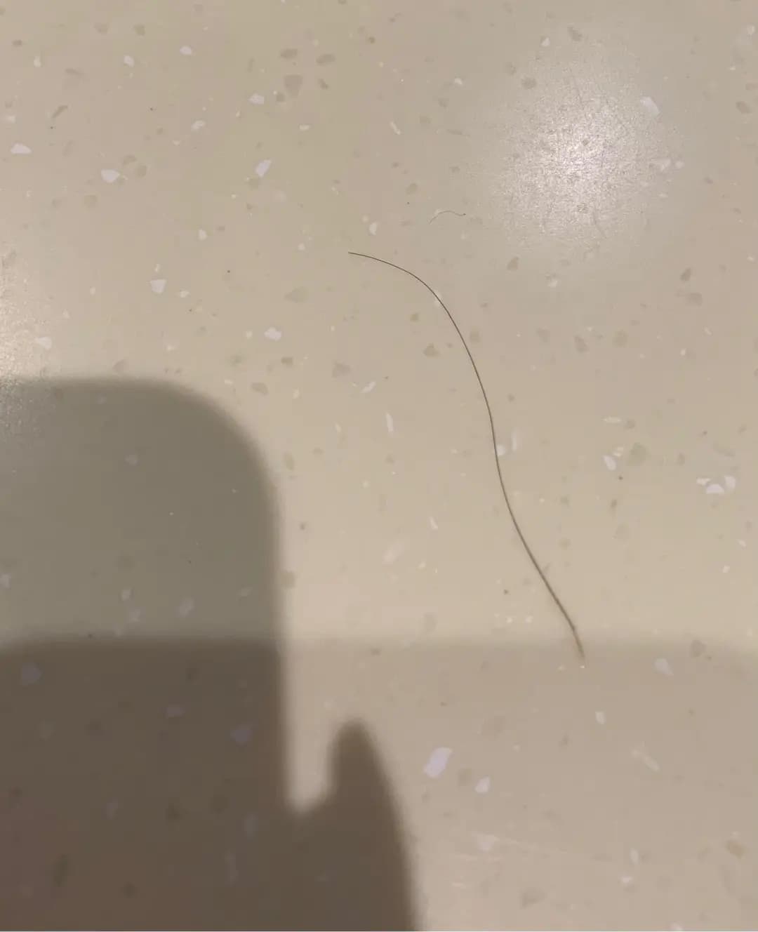 天后站清湯腩 photo 6