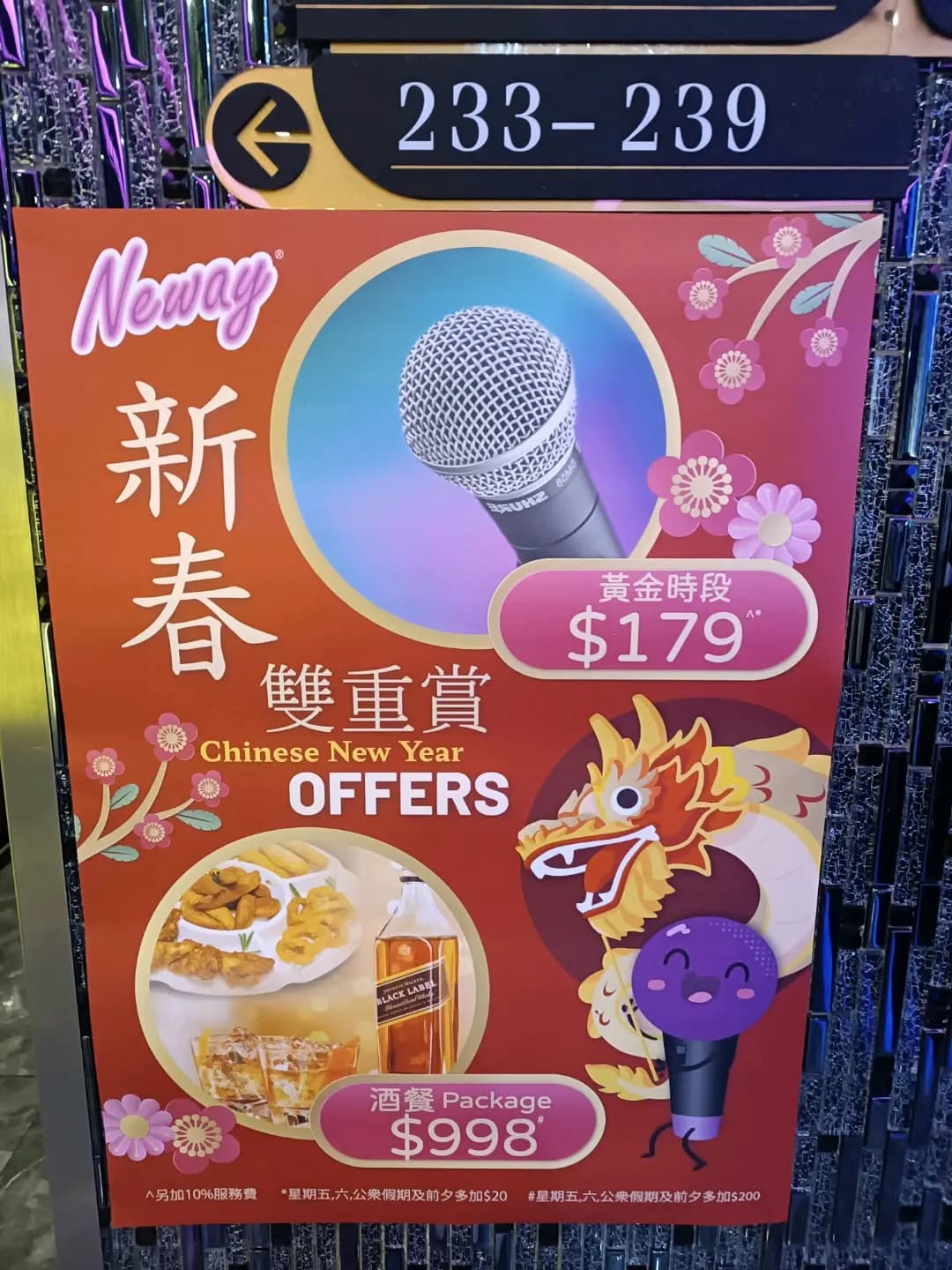 Neway Karaoke Box photo 2